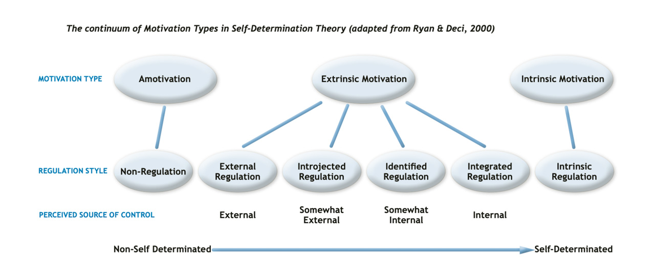 Exploring The Motivation Continuum Bluearth Foundation